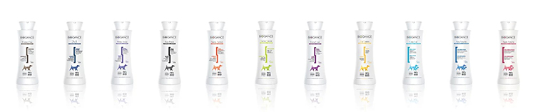 BIO GANCE (バイオガンス) 2in1 コンディショニングシャンプー 250ml 全犬種用 / QoonQoon