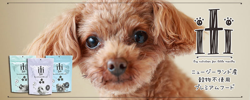 プレミアムドッグフード キャットフード通販サイト Qoonqoon